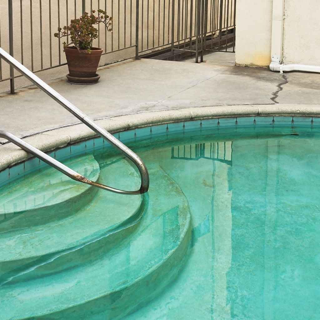 what causes algae in swimming pools