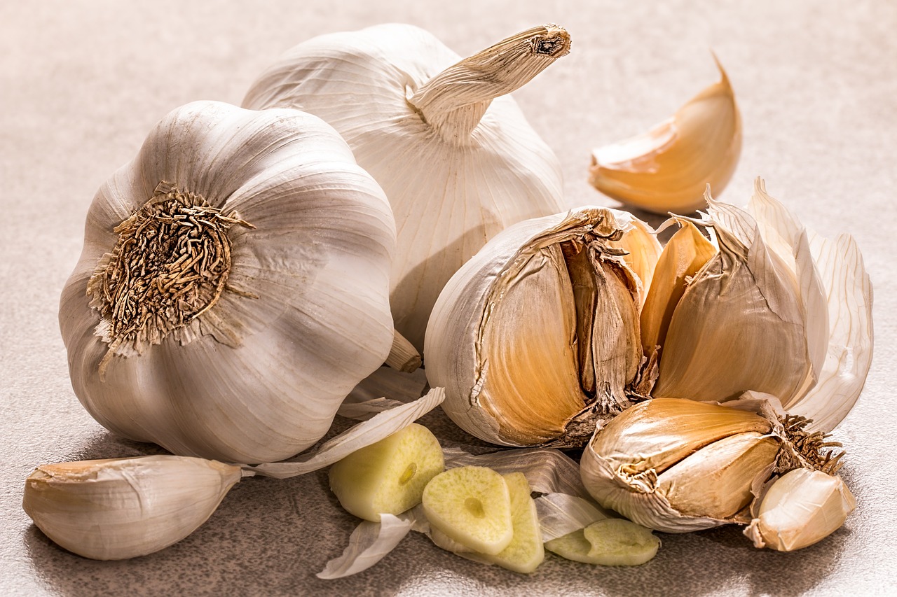 Can chickens eat garlic? Discover the benefits