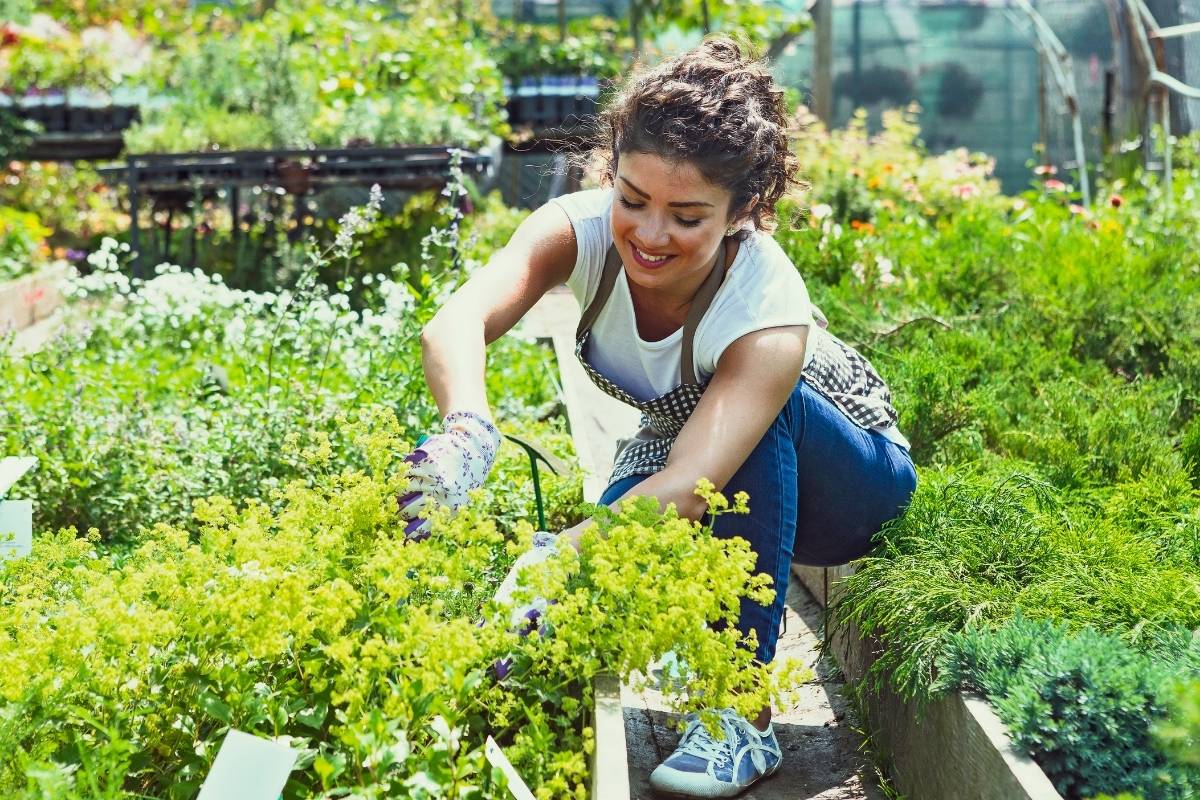 When should you start a garden?