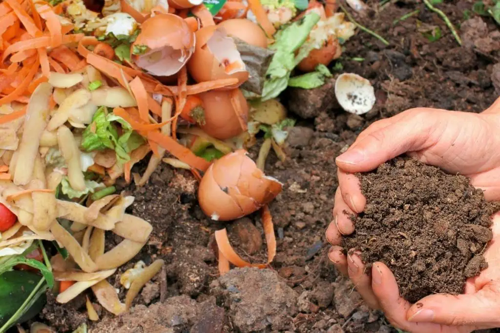 How to prepare soil for planting