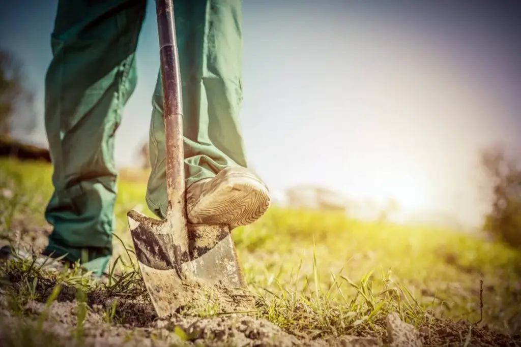 How to prepare soil for planting