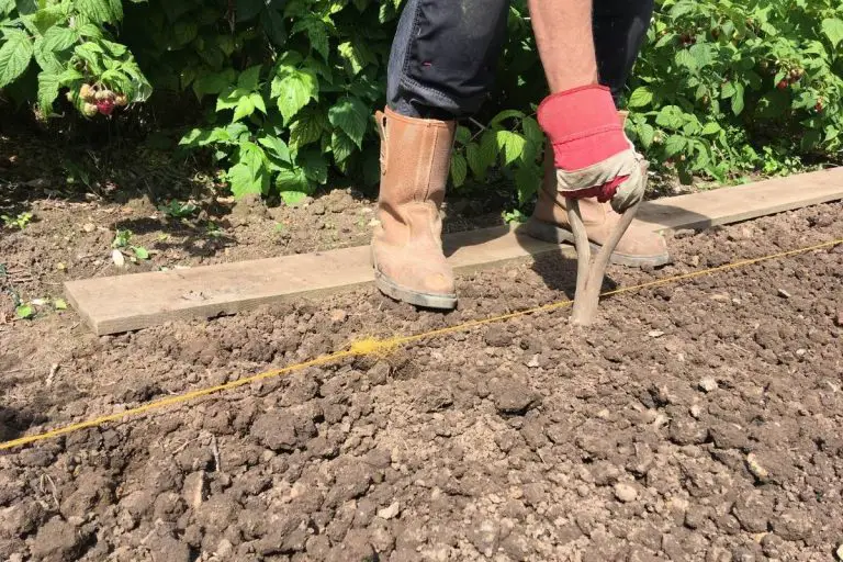 How to prepare your soil for planting Garden Super Power
