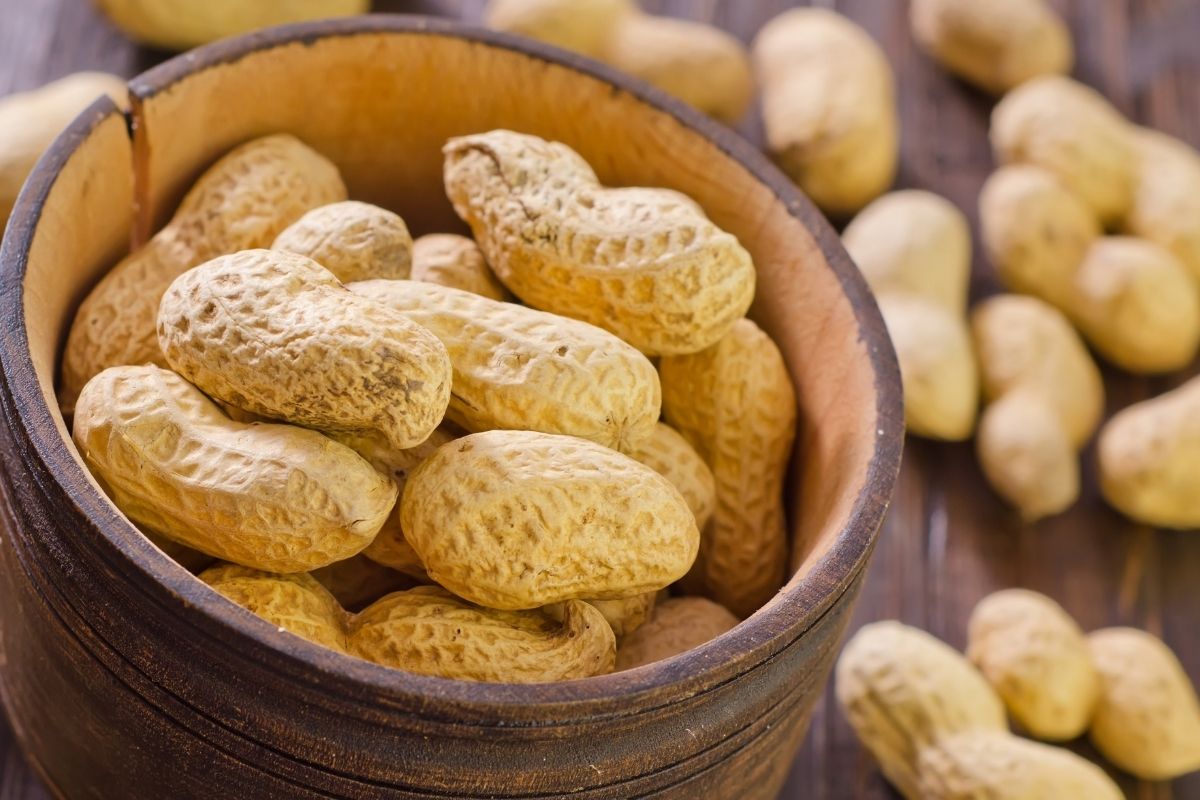 How do you grow peanuts in a pot?