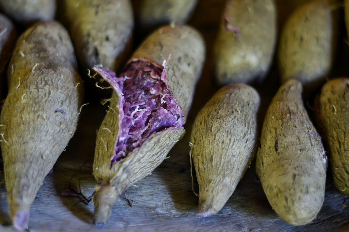 how do you grow purple yams from the grocery store