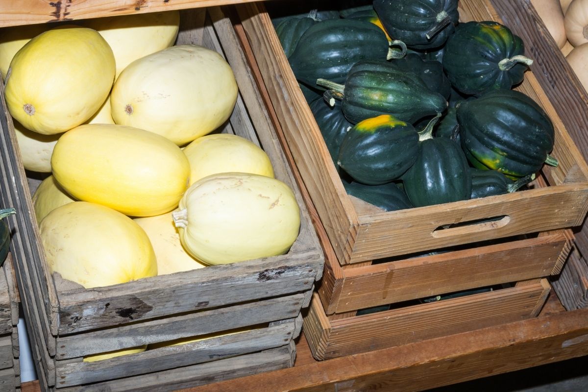 boxes of squashes at a store