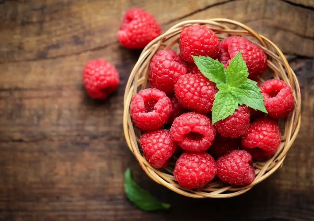 Can you grow raspberries from the store