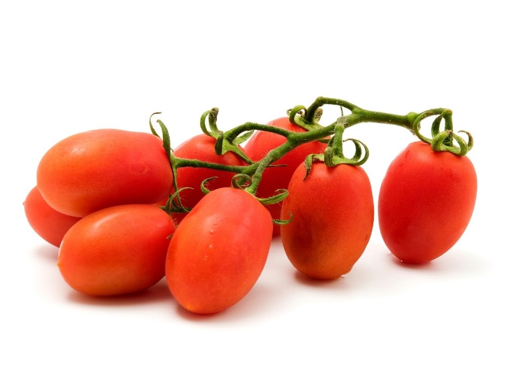 what are the best roma tomatoes to grow