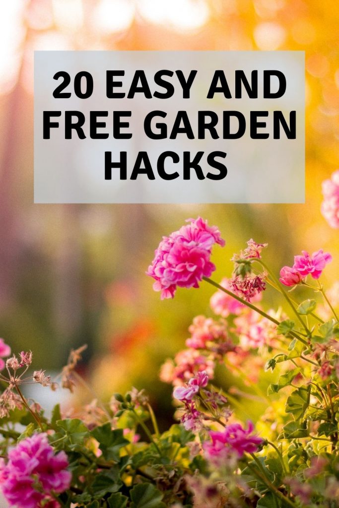 20 great & free garden hacks