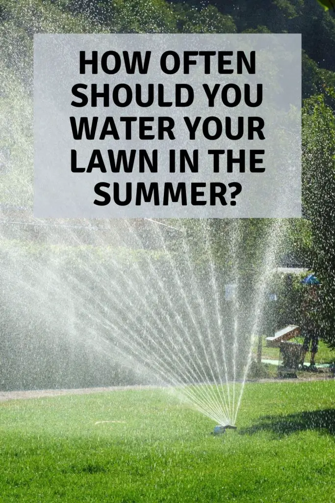 How often should you water your lawn in the summer