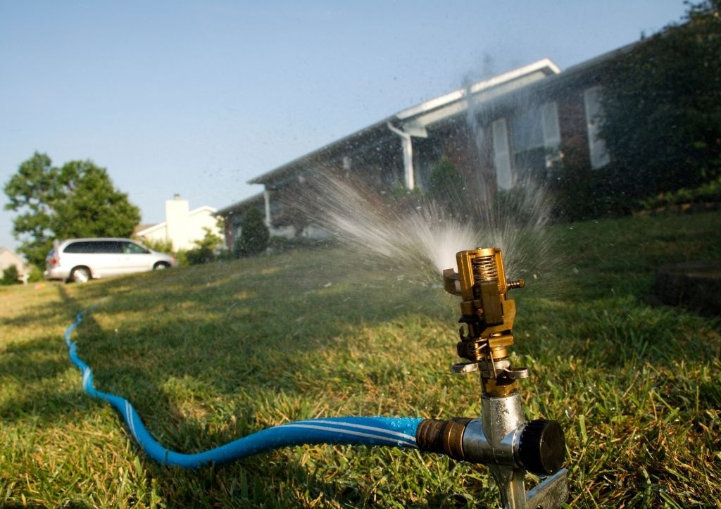 How often should you water your lawn in the summer