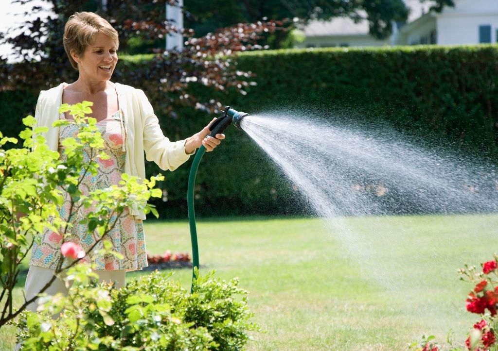 How often should you water your lawn in the summer?
