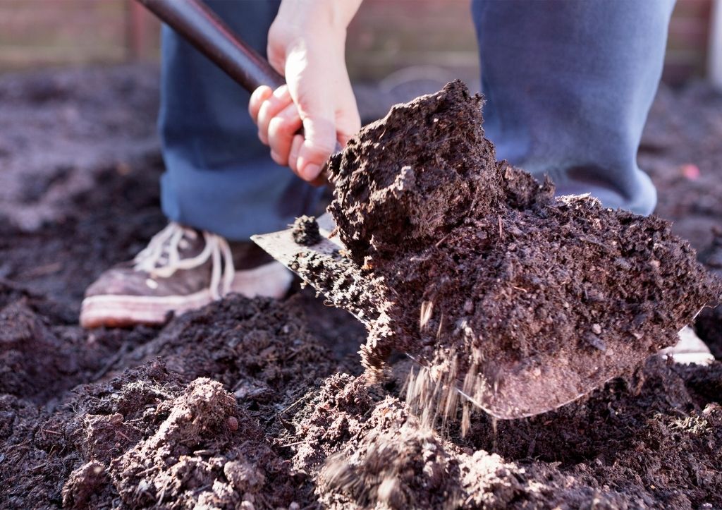 What is the best manure for a garden?