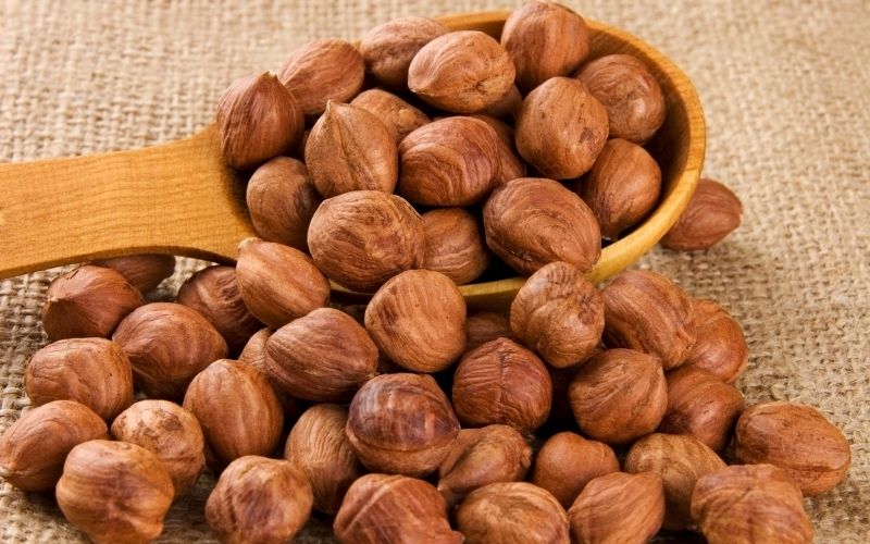 Where do hazelnuts grow best?