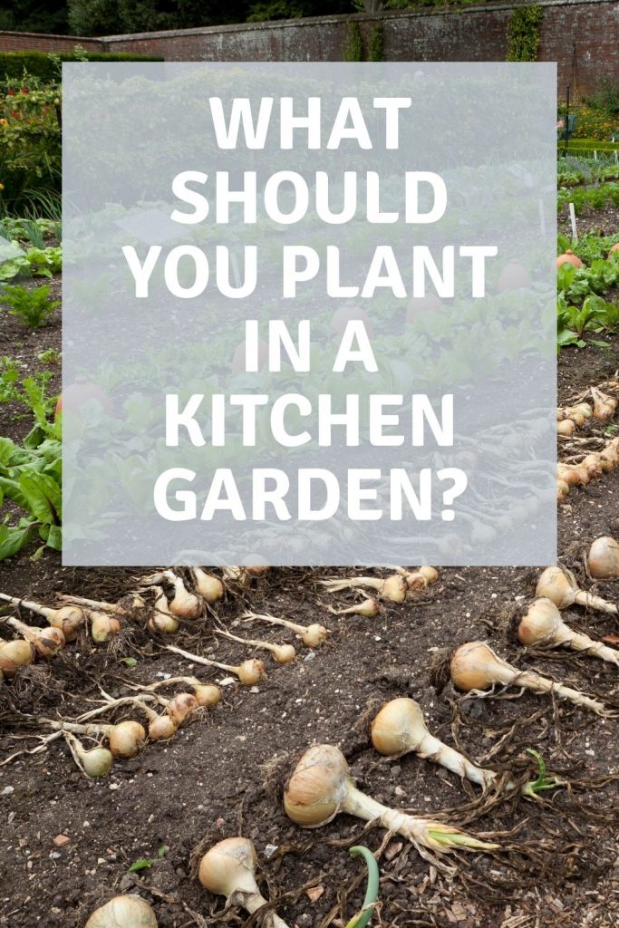 What should you plant in a kitchen garden