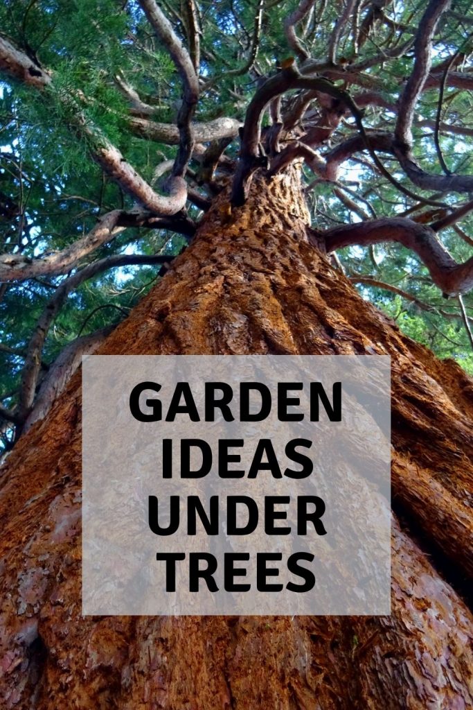 garden ideas under trees