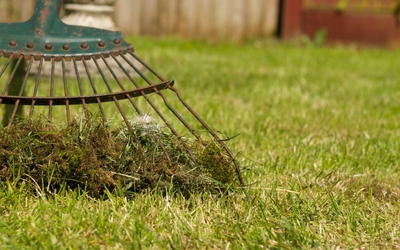 can garden moss be composted