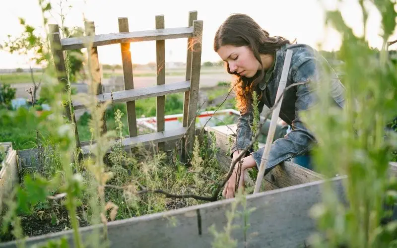 can you put a raised garden bed on concrete