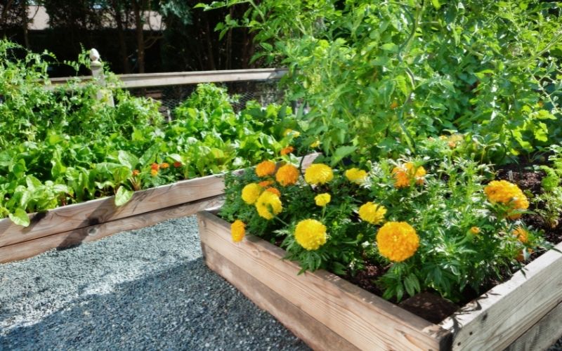 can you put raised garden beds on concrete