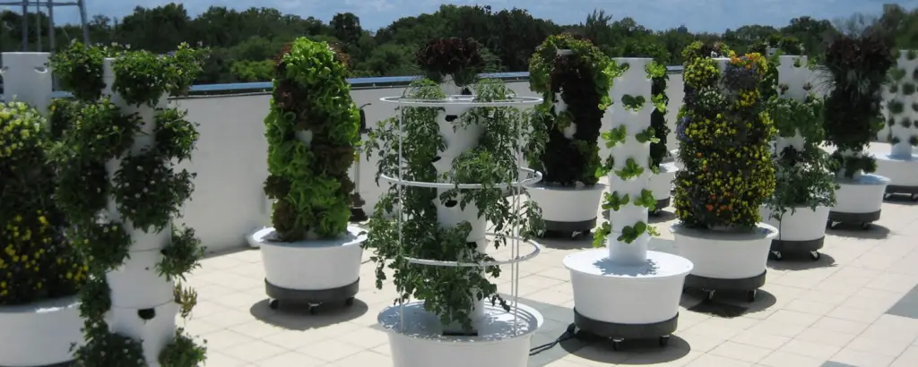 what can you grow in a garden tower