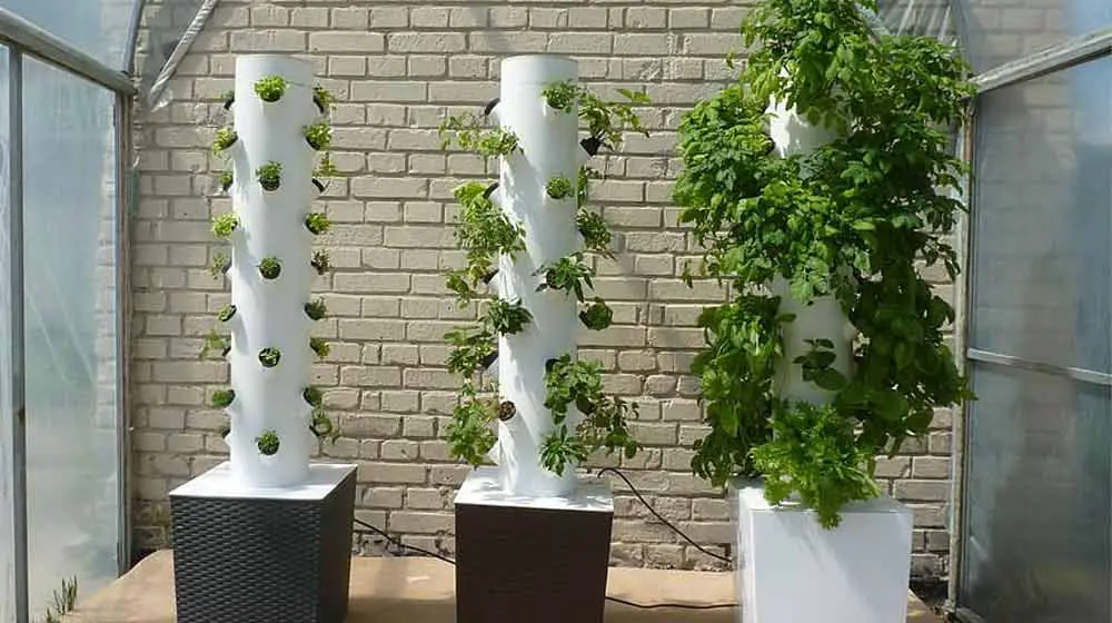 what can you grow in a garden tower