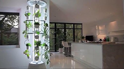 What can you grow in a garden tower?