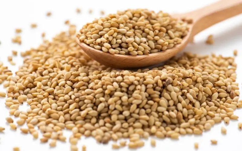 Can you grow sesame seeds from the store?
