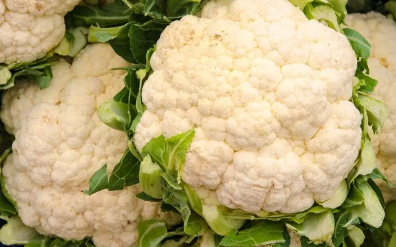 How do you grow cauliflower?