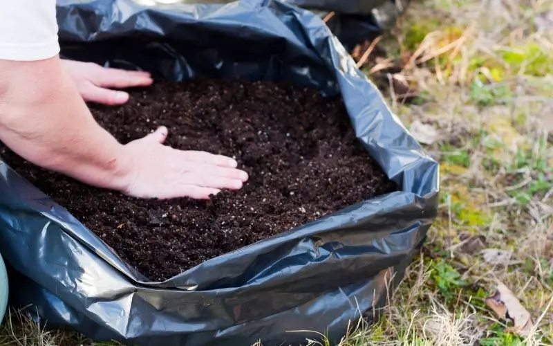 what are the best potatoes for growing in bags