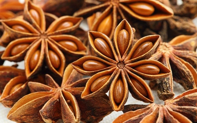 Can you grow store bought star anise?