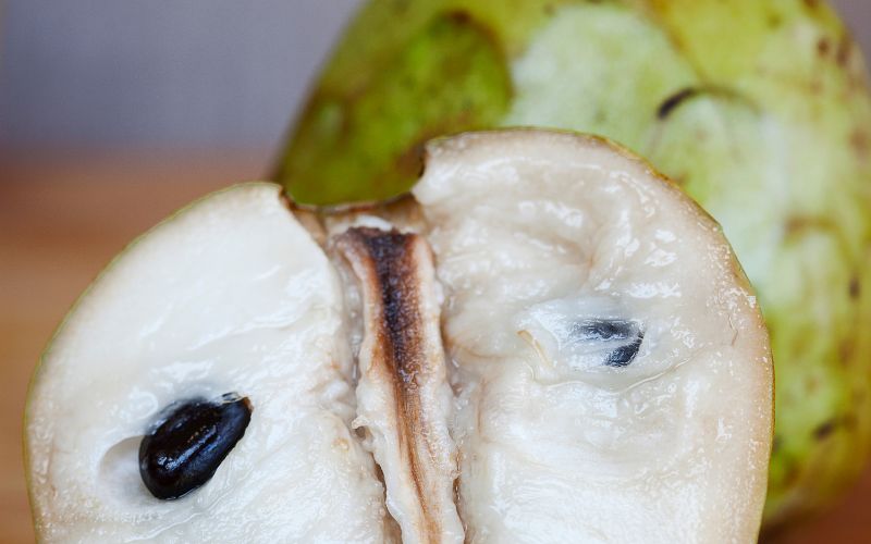 Can custard apple be grown at home?