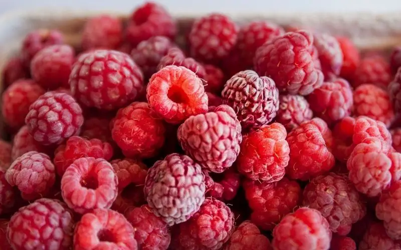 Can you plant seeds from store bought raspberries?