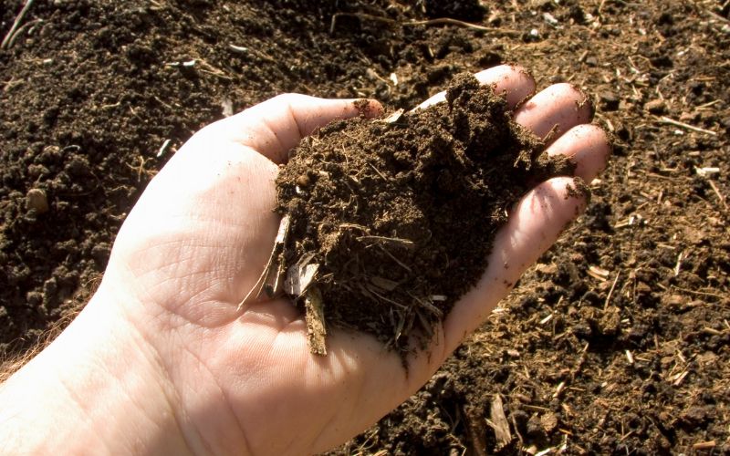 can garden compost be used in pots