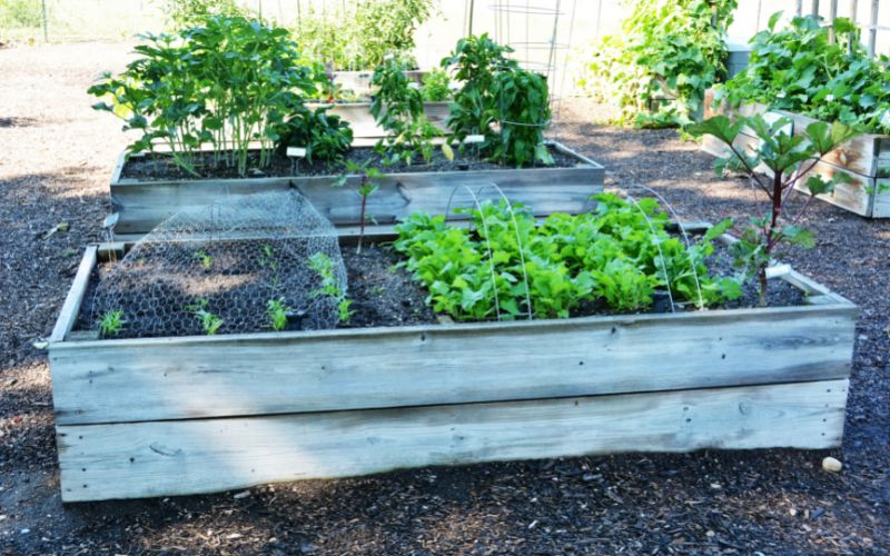 Should raised beds be lined with plastic?