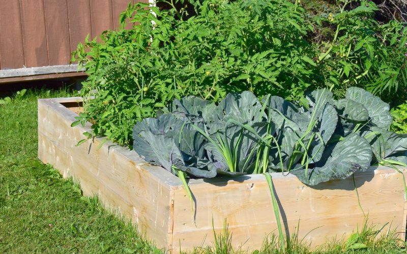 Should raised beds be lined with plastic?