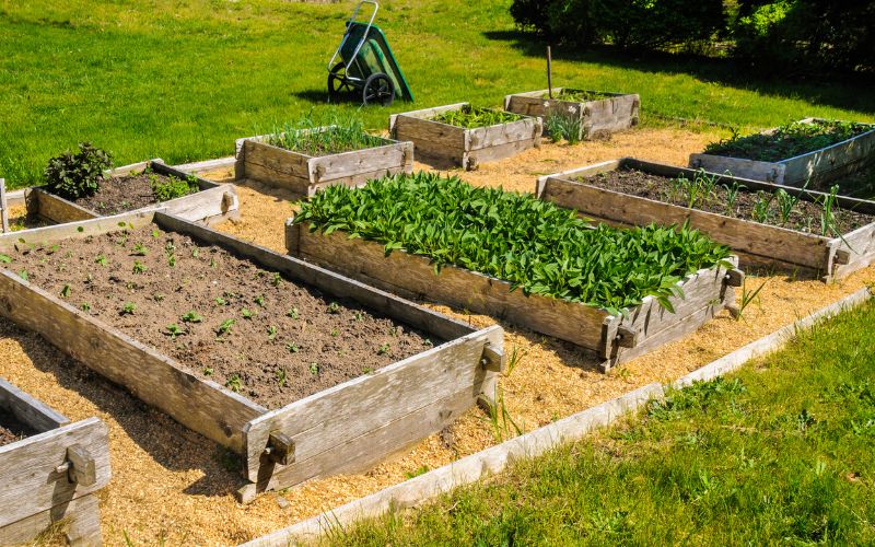 What is the best depth for raised vegetable beds?