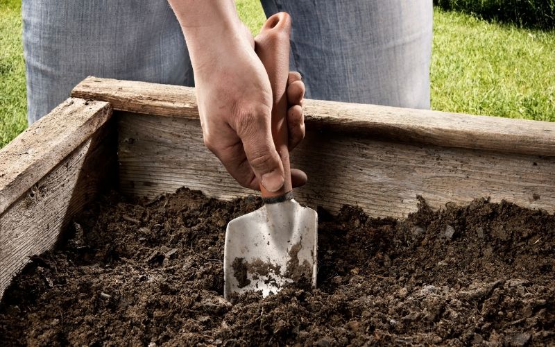 No dig garden beds – The basics
