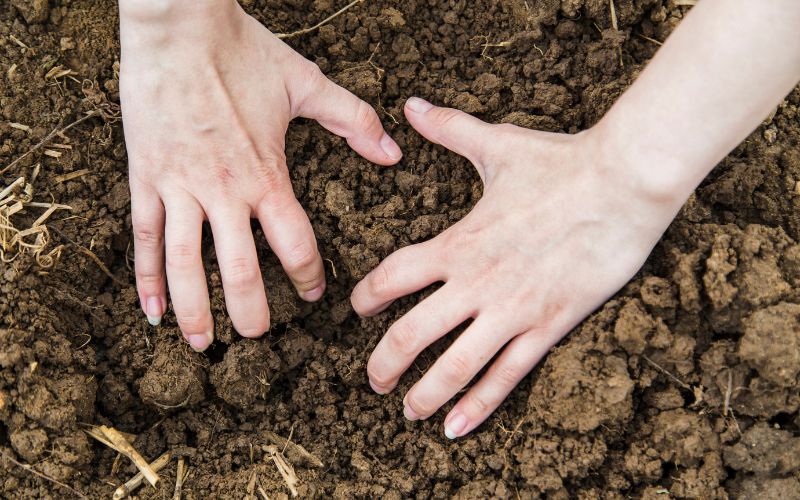 No dig garden beds – The basics