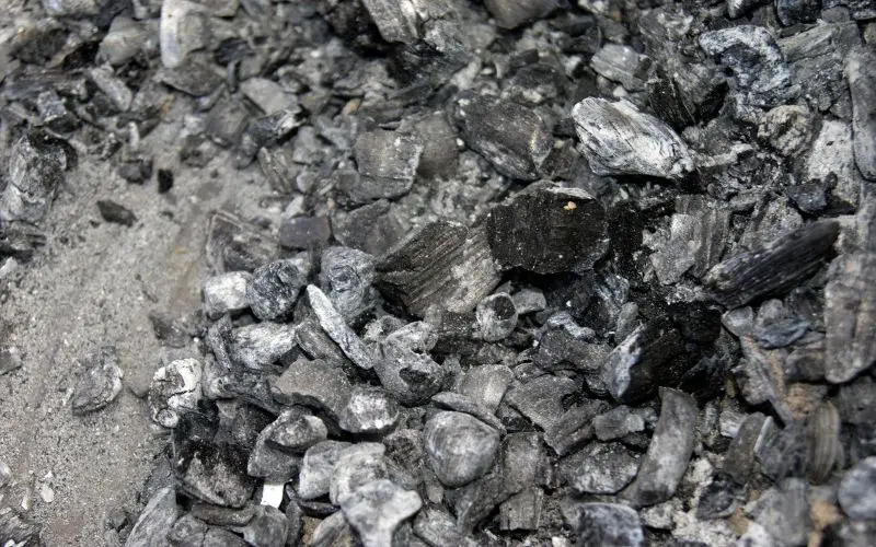 is kingsford charcoal ash good for plants