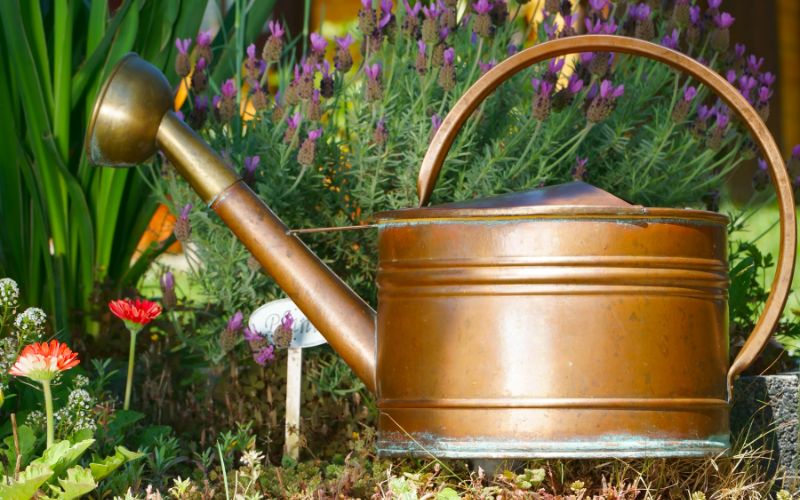 Are copper watering cans good for plants?