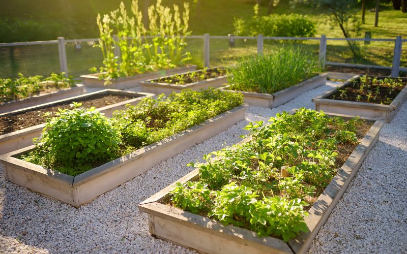 Can you fill a raised bed with just compost?