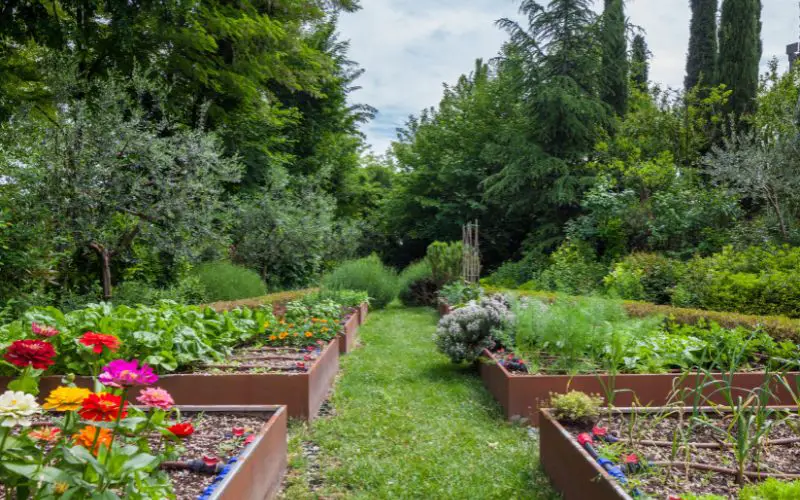 The best layout for your vegetable garden