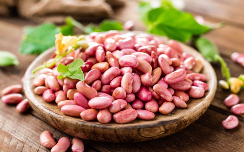 can you grow kidney beans from the store
