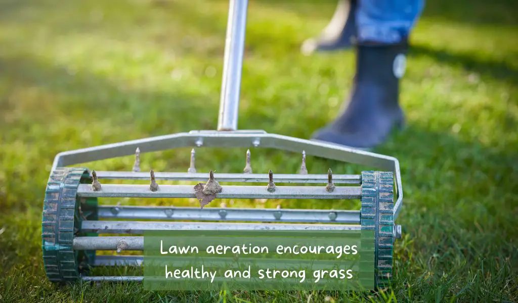 lawn aeration machines