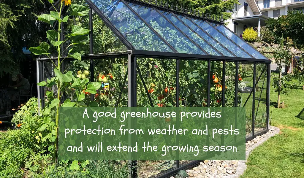 How Do You Build a Greenhouse? A Step-by-Step Guide for DIY Enthusiasts