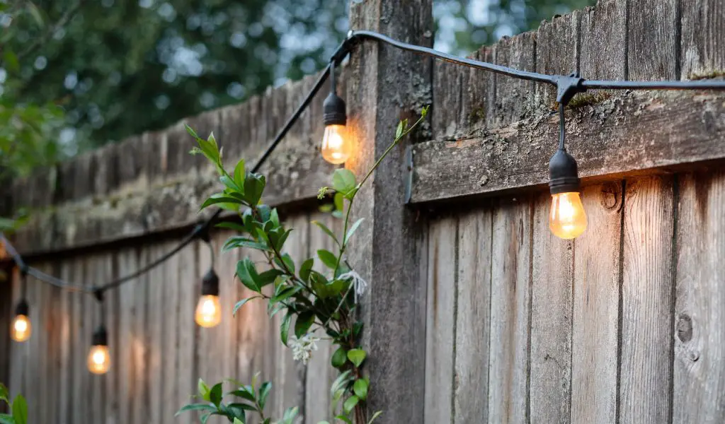 Discover our top 10 backyard tips that will skyrocket the value of your home.