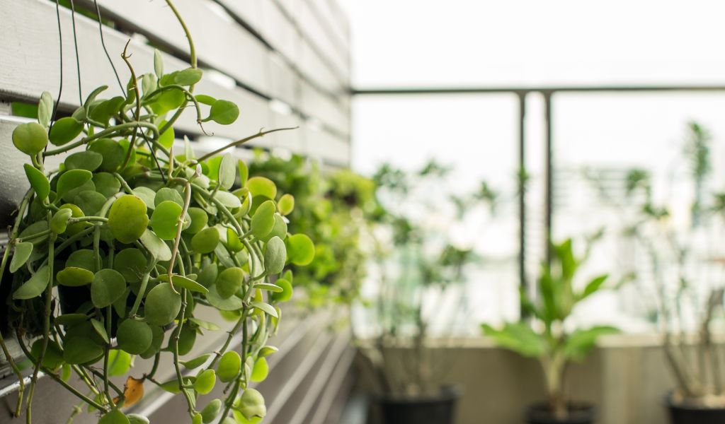 The Ultimate Guide to Designing and Building Your Dream Vertical Garden