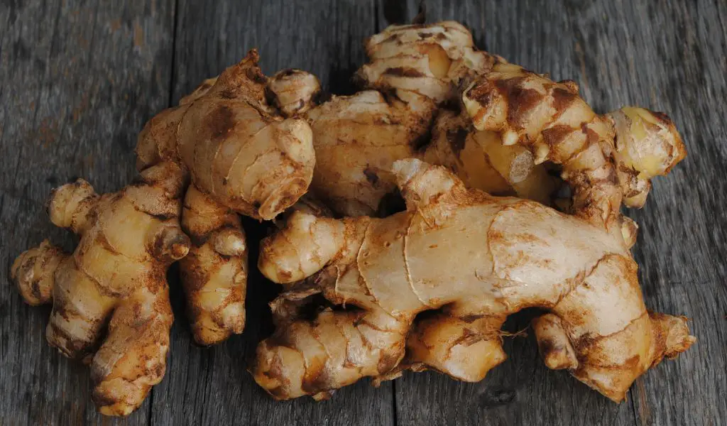 Planting Store Bought Ginger: The Ultimate Guide