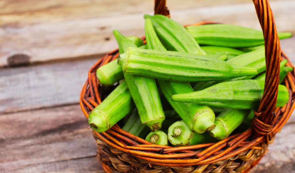 Comprehensive Guide to Growing and Caring for Okra in Your Garden