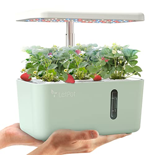 LetPot 5 Pods Hydroponics Growing System, Smart Indoor Garden, 2 LED Growing Modes, Automatic Germination Starter for Home Kitchen Office