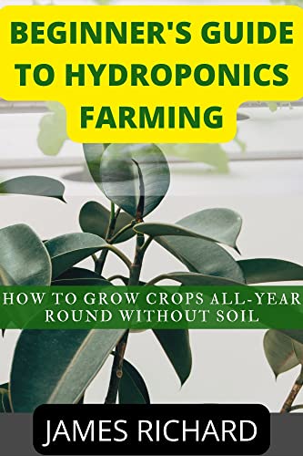 BEGINNER'S GUIDE TO HYDROPONICS FARMING: How to grow crops all-year round without soil